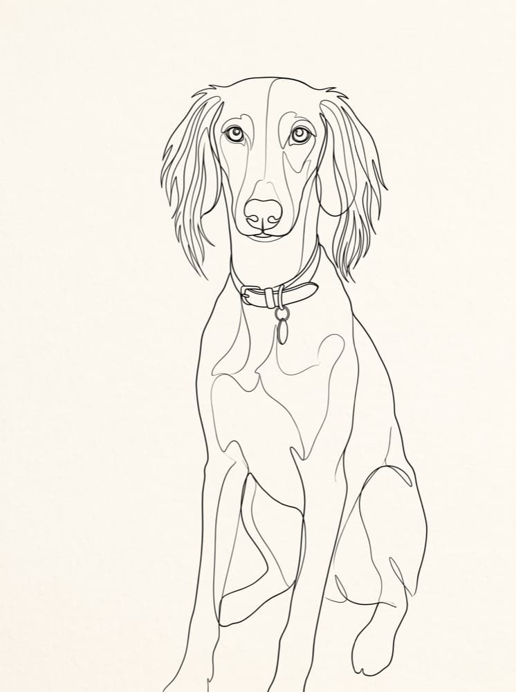 Saba the dog as a Minimalist Line-art pet portrait